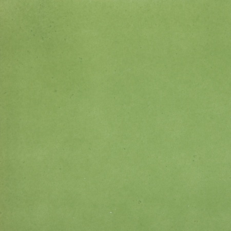 peinture-sur-porcelaine-couleur-rachel-plantier-vert-chartreuse-100-grammes